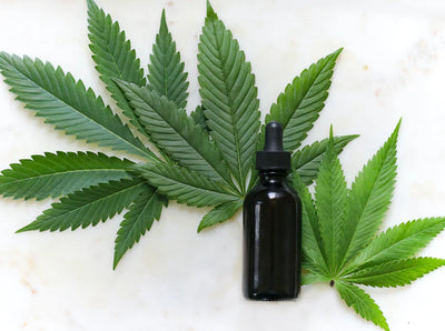 Hemp Hand Cream: Your Guide to Skin Hydration and Healing