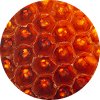 BIENENWACHS