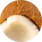 ingredient