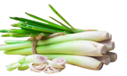 ingredient