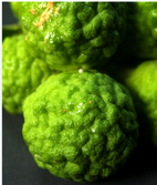 ingredient