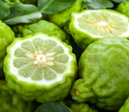 ingredient